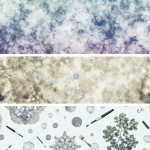 2025 Kışında Parlayan Ciltler İçin Bilimsel Nemlendirme Yöntemleri - 2025-kisinda-parlayan-ciltler-icin-bilimsel-nemlend